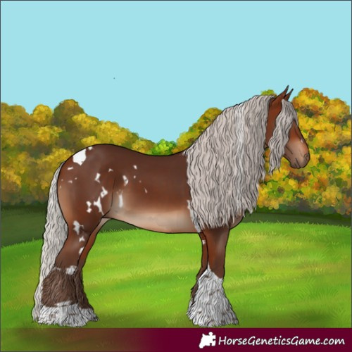Horse Color:White Spotted Silver Bay Tobiano 