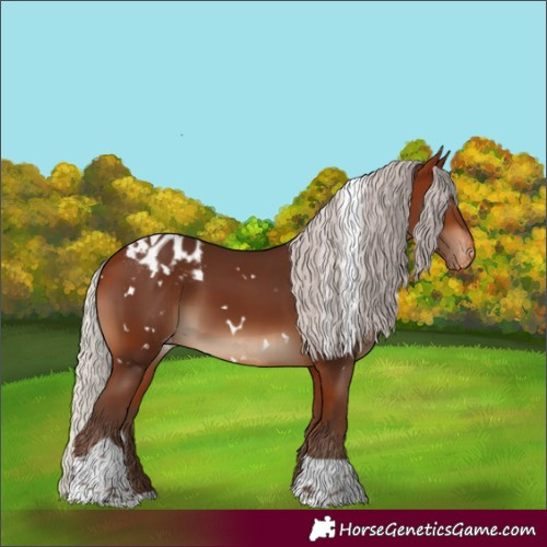 Horse Color:White Spotted Silver Bay Tobiano Appaloosa