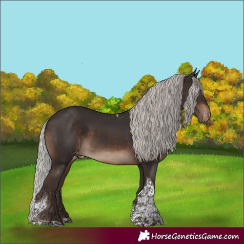 Horse Color:Silver Brown Tobiano Skewed Appaloosa