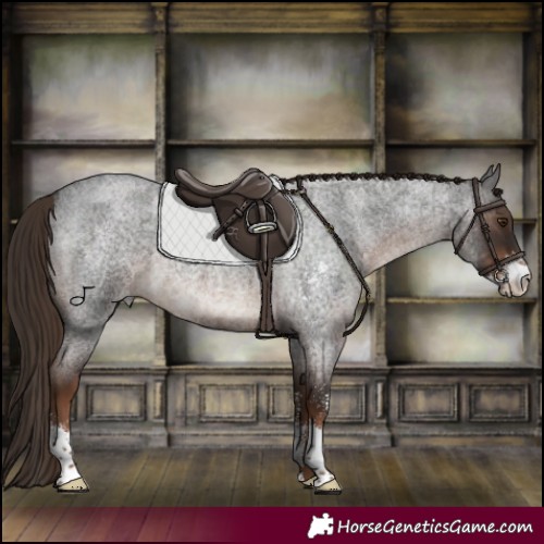 Horse Color:Liver Red Roan Sabino