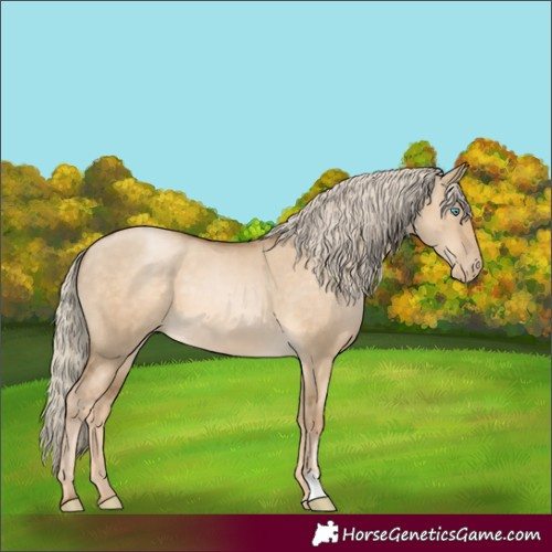 Horse Color:Chocolate Palomino Pearl Dun Brindle 