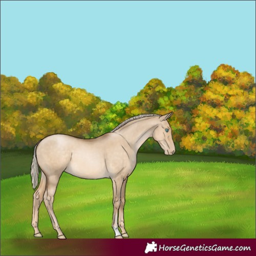 Horse Color:Chocolate Palomino Pearl Dun