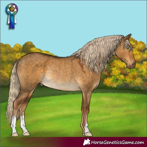 Horse Color:Chocolate Palomino Dun Rabicano