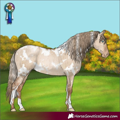 Horse Color:White Spotted Liver Red Dun Pearl Rabicano Brindle 