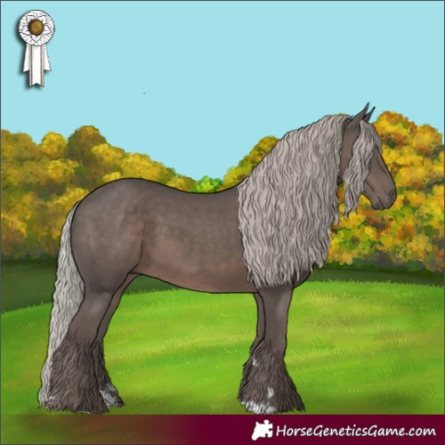 Horse Color:Silver Black 