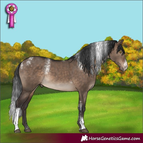Horse Color:Powder White Brown Dun Tobiano Rabicano 