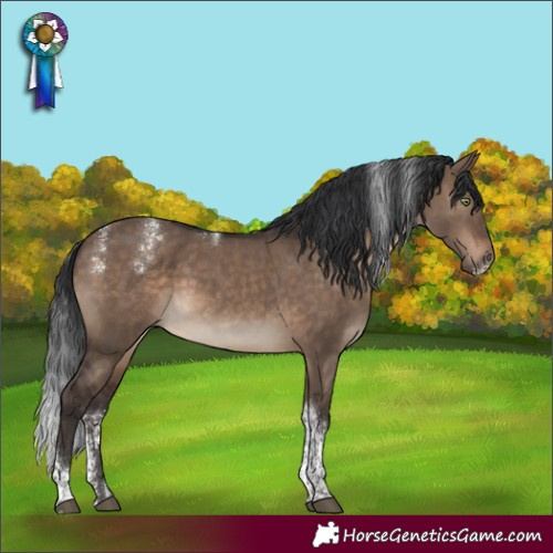 Horse Color:Powder White Brown Dun Tobiano 