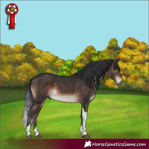 Horse Color:Brown Tobiano Rabicano 