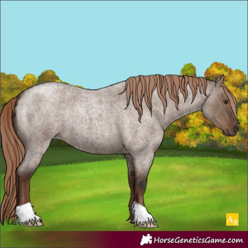 Horse Color:Liver Red Dun Roan 