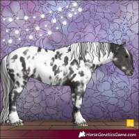 Horse Color:White Spotted Black Near Leopard Rabicano 