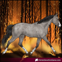 Horse Color:Smoky Grullo Roan