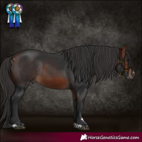 Horse Color:Bay Rabicano