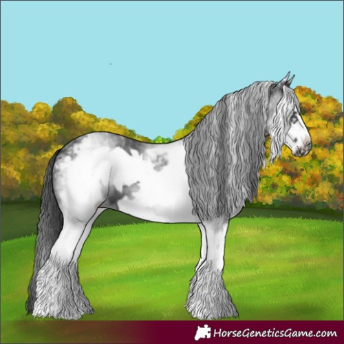 Horse Color:White Spotted Black Frame