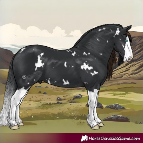 Horse Color:White Spotted Black Splash 