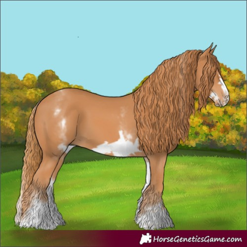 Horse Color:White Spotted Chestnut Frame 