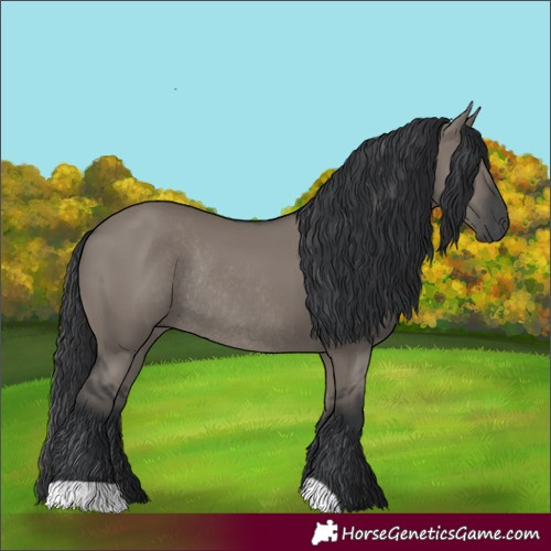 Horse Color:Grullo Rabicano
