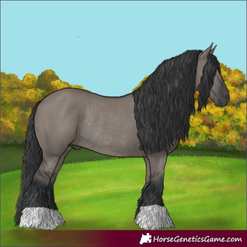 Horse Color:Grullo Rabicano