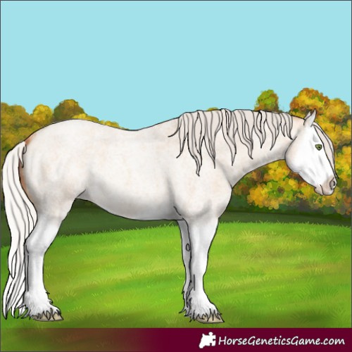 Horse Color:Silver Amber Champagne Roan Dun Splash 