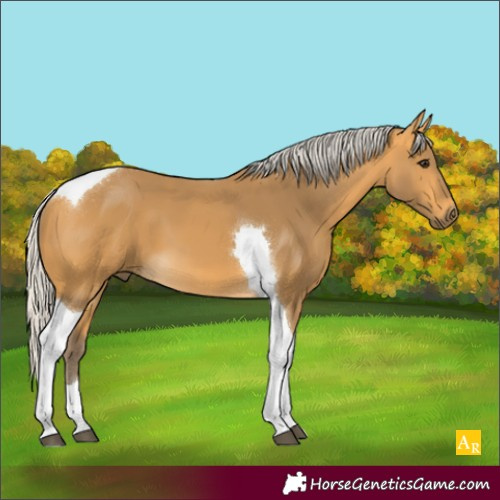 Horse Color:Silver Buckskin Tobiano 