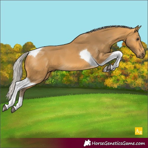 Horse Color:Silver Buckskin Tobiano