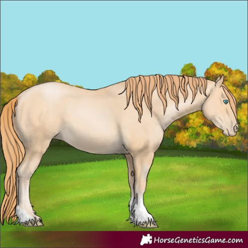 Horse Color:Buckskin Pearl