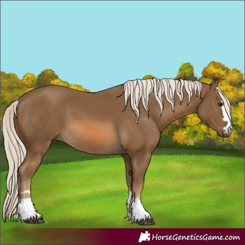 Horse Color:Chocolate Palomino