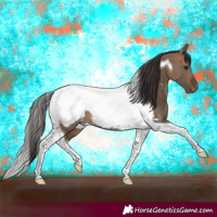 Horse Color:Brown Dun Tobiano Snowcap