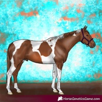 Horse Color:Chestnut Tobiano 