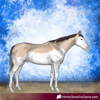 Horse Color:Amber Champagne Dun Splash 