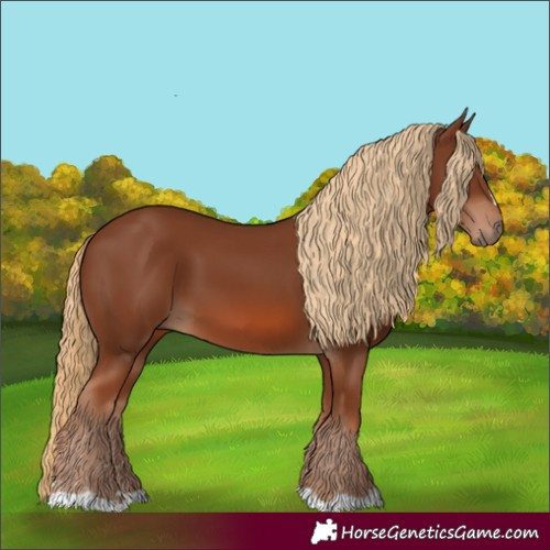 Horse Color:Chestnut 