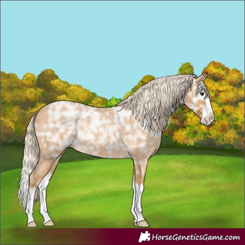 Horse Color:Palomino Ice Roan Splash