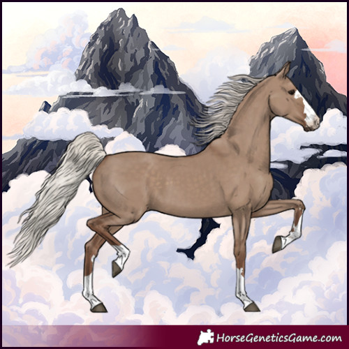 Horse Color:Silver Grullo