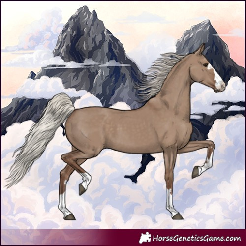 Horse Color:Silver Grullo