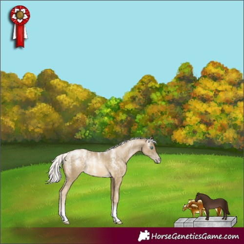Horse Color:Powder White Silver Buckskin Pearl Tobiano 