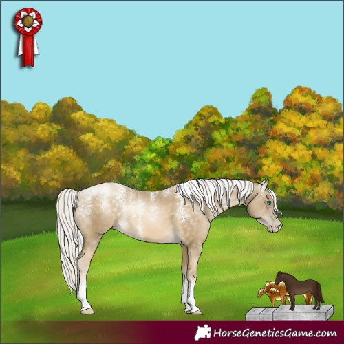 Horse Color:Powder White Silver Buckskin Pearl Tobiano 
