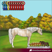 Horse Color:Powder White Silver Buckskin Pearl Tobiano 