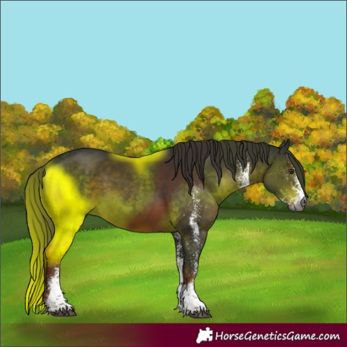 Horse Color:Gray White Spotted Liver Chestnut 
