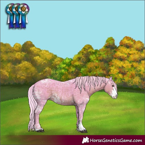 Horse Color:Watercolor Silver Smoky Black Ice Sabino 