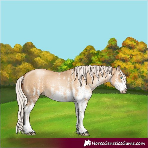 Horse Color:Gray White Spotted Silver Amber Cream Champagne Pearl 