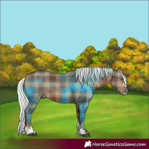 Horse Color:Plaid Silver Brown Sabino