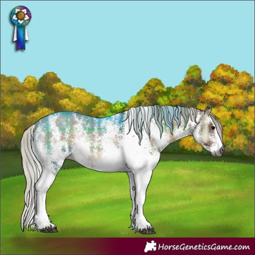 Horse Color:Gray Plaid  White Spotted Silver Blue Onyx 