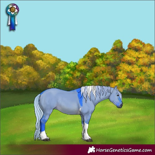 Horse Color:Gray Watercolor Silver Brown Dun Tobiano Rabicano 