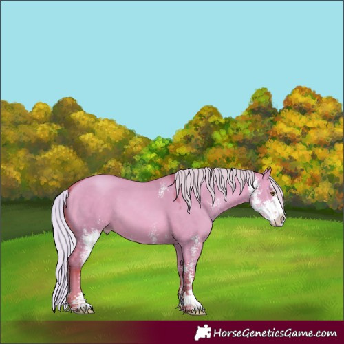 Horse Color:Watercolor Silver Amber Champagne Dun Sabino 