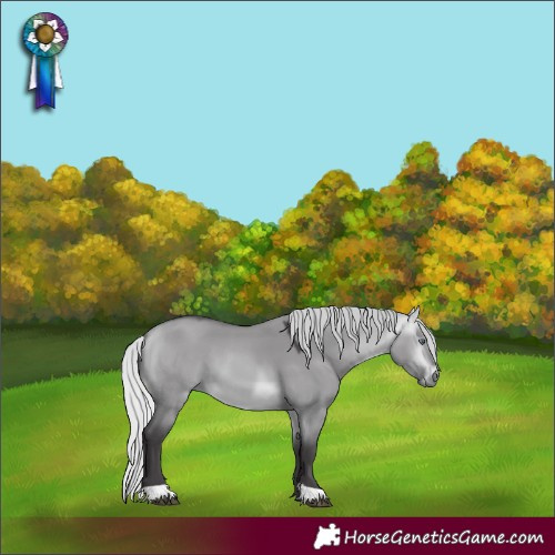 Horse Color:Silver Buckskin Chinchilla Dun