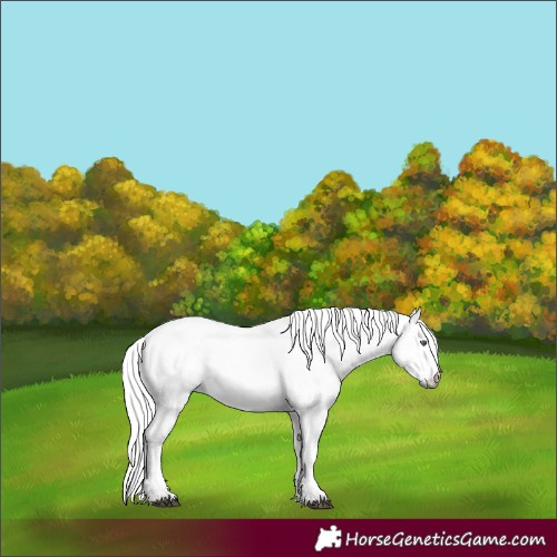 Horse Color:Chocolate Palomino Chinchilla Dun Sabino 