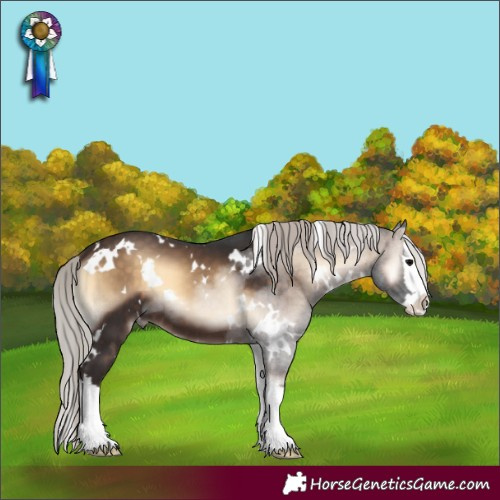 Horse Color:White Spotted Silver Brown Onyx Splash