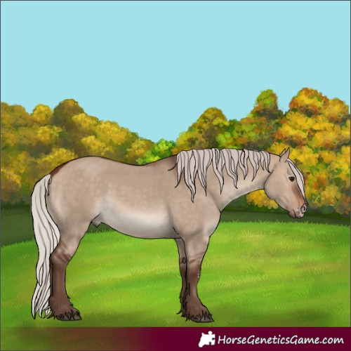 Horse Color:Silver Brown Dun Sabino