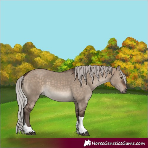 Horse Color:Silver Brown Dun Tobiano Rabicano 