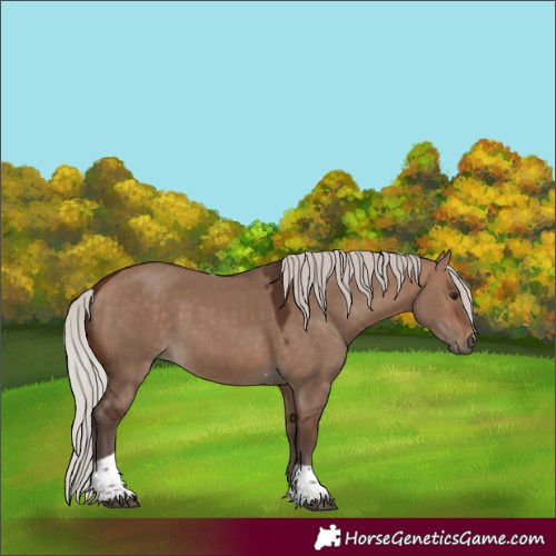 Horse Color:Silver Brown Dun Tobiano