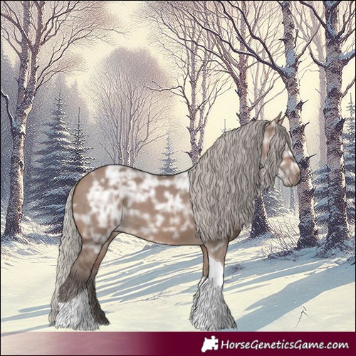 Horse Color:Silver Brown Ice Dun Tobiano